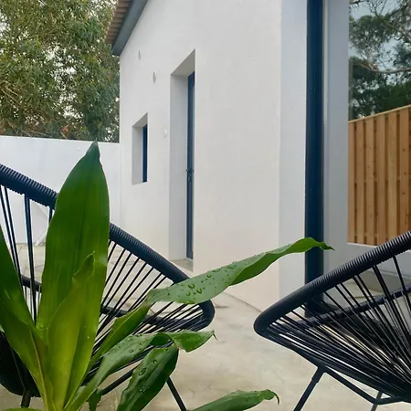 Santana's Flat * Ribeira Grande